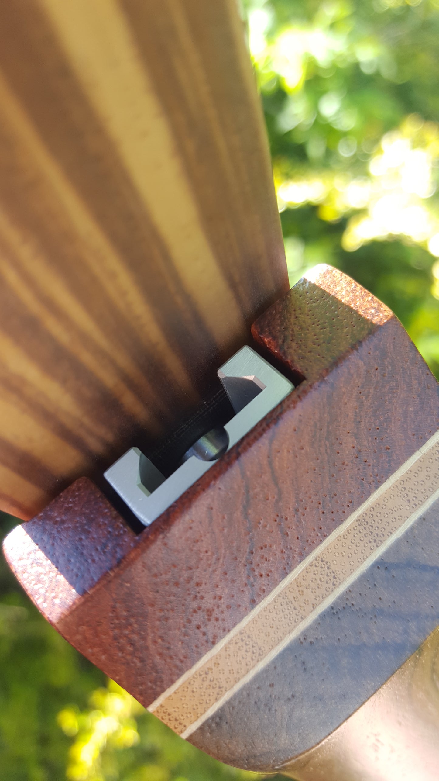 Kaiser Pena recurve limbs