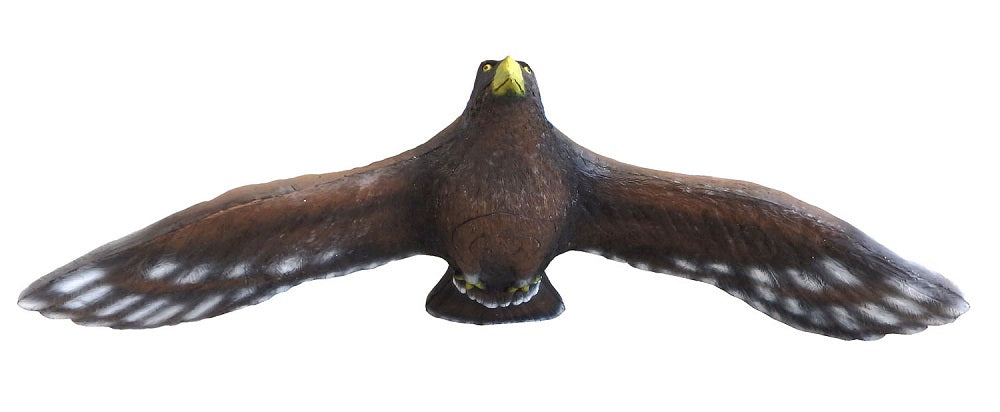 Gamut L.G. 3D field archery target flying golden Eagle
