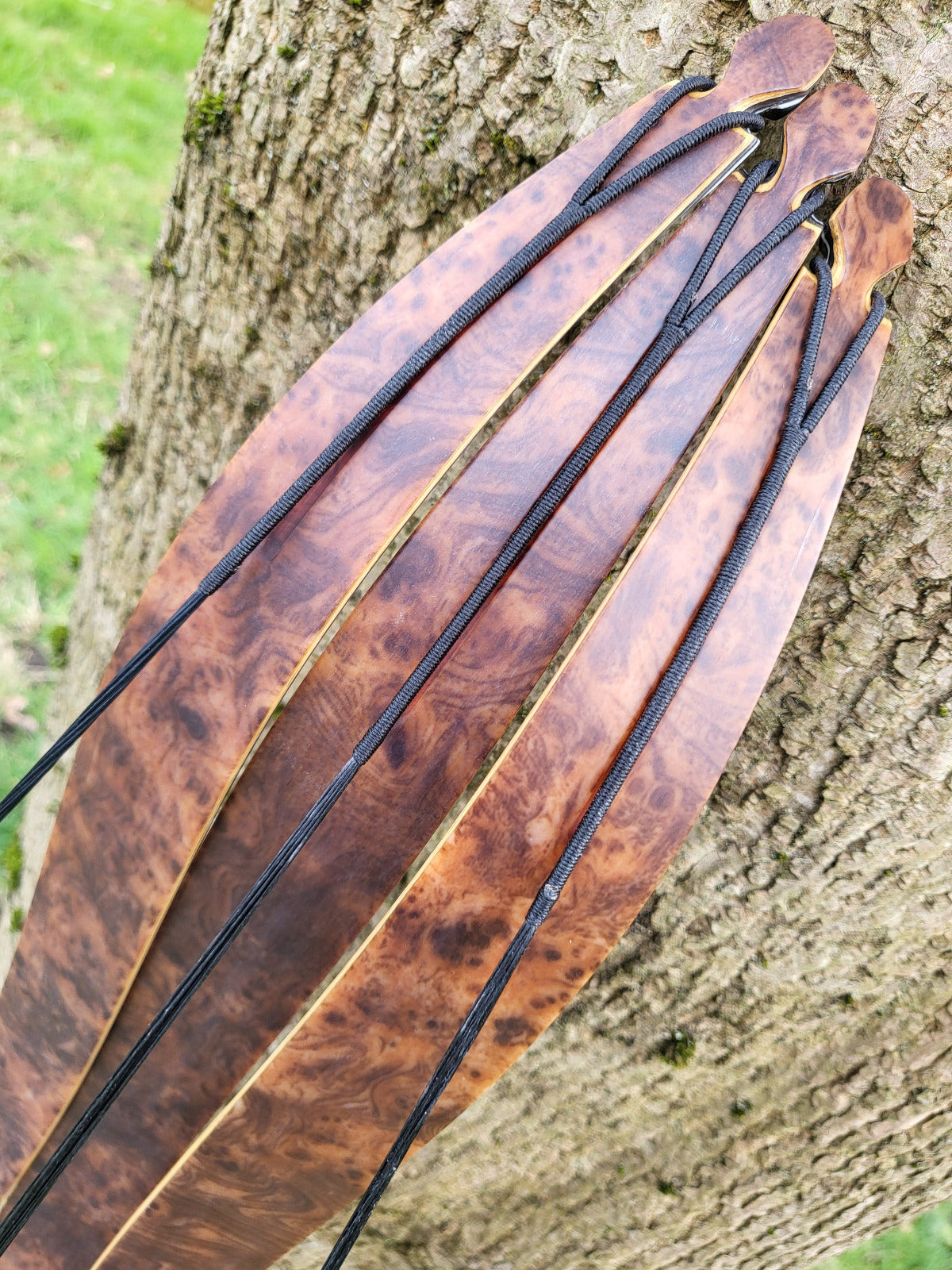 Ranger Recurve Bow