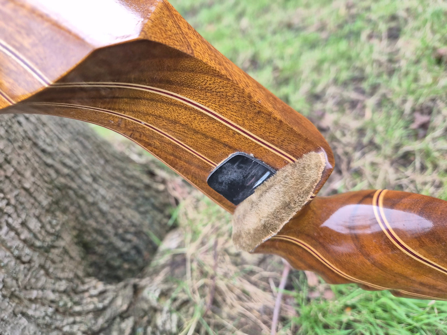 Border Archery Viper recurve bow 62" 50# second hand