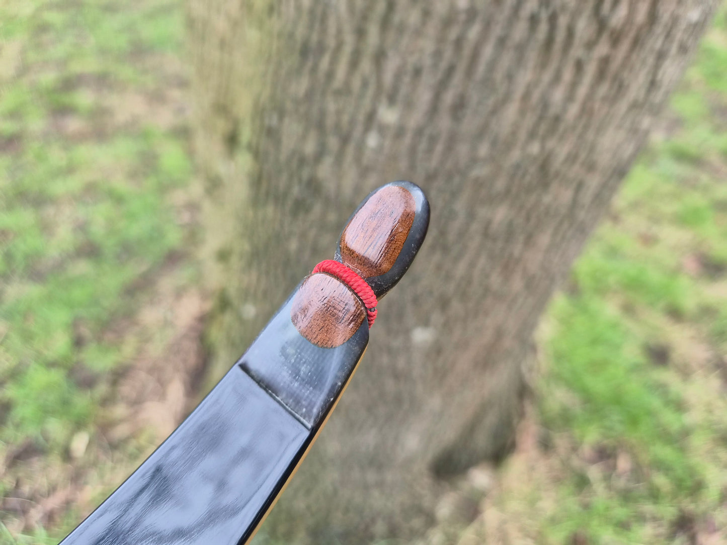 Border Archery Viper recurve bow 62" 50# second hand