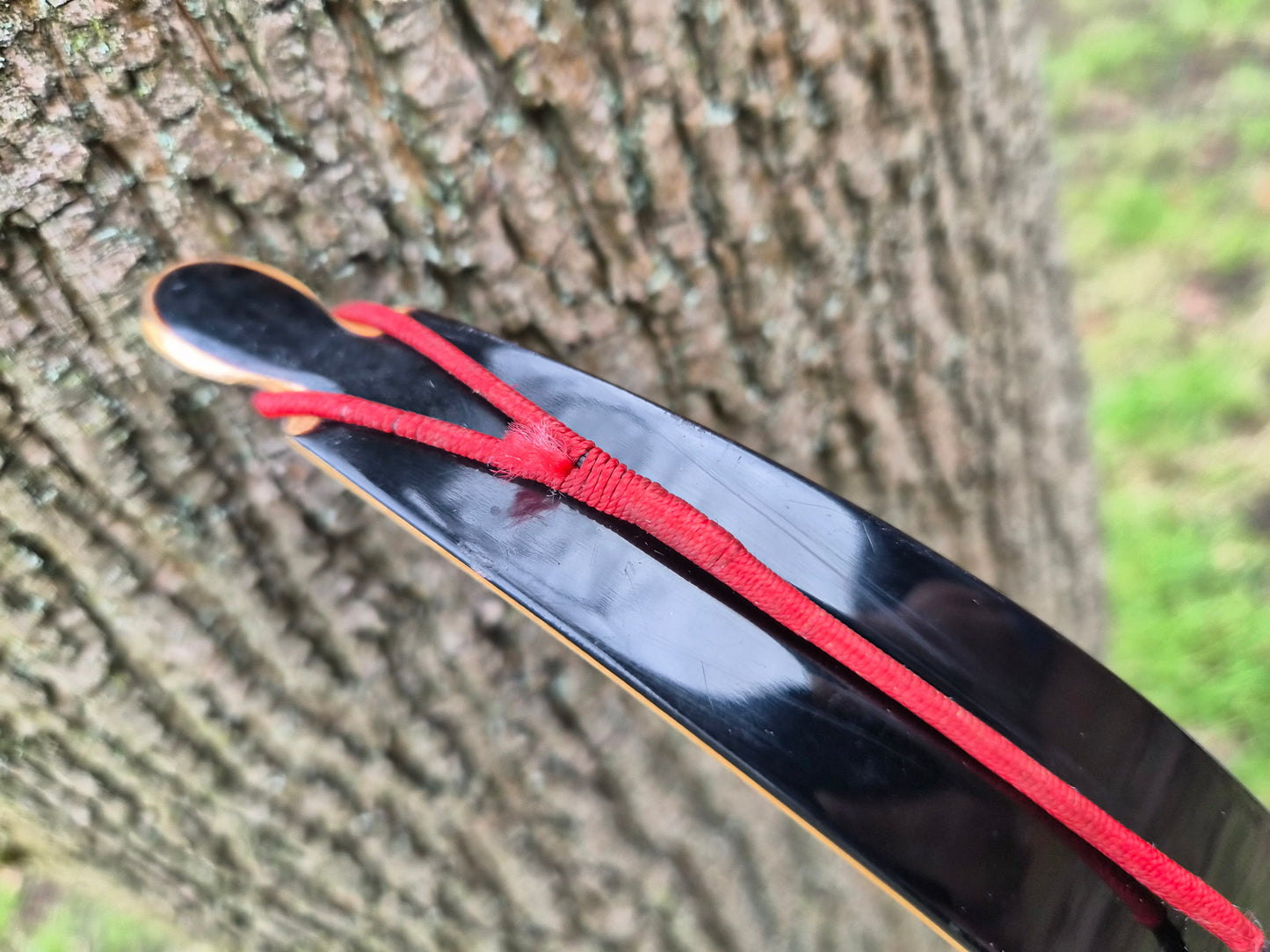 Border Archery Viper recurve bow 62" 50# second hand