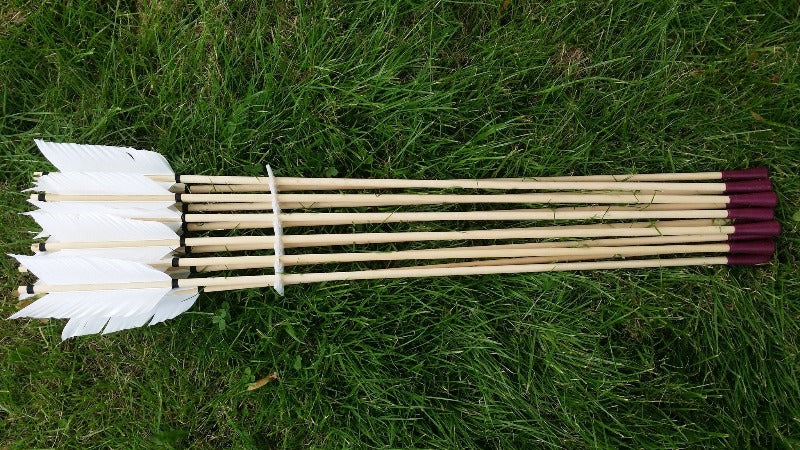 Re enactment battle arrows