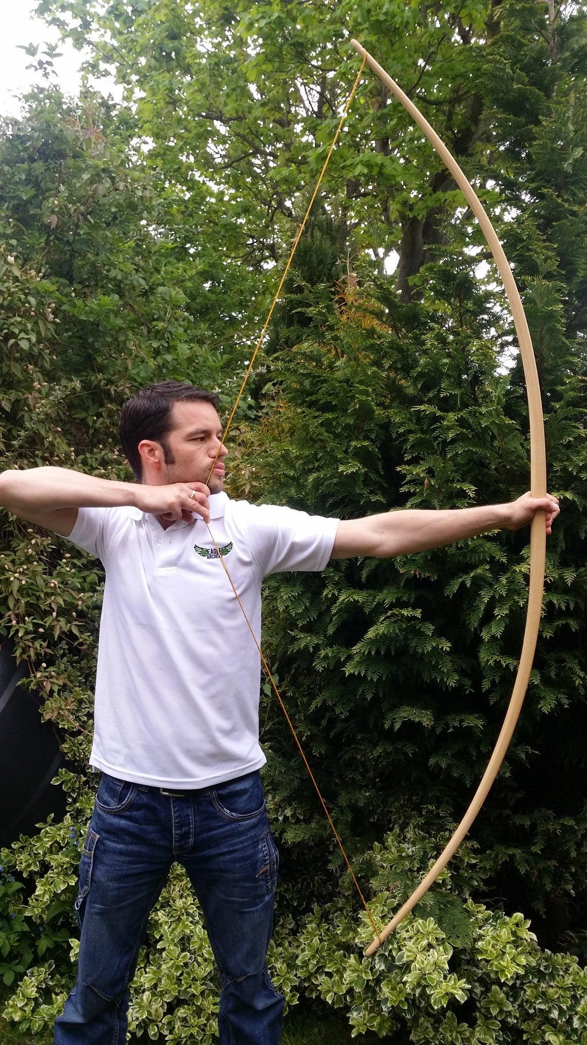 Eagle Selfbow - Ash 76" 27# @ 28"