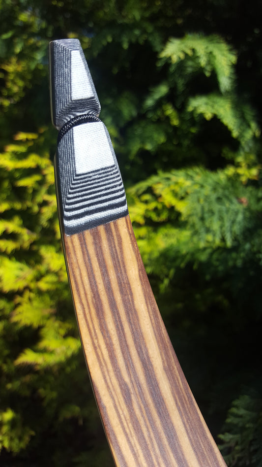 Kaiser Pena recurve limbs