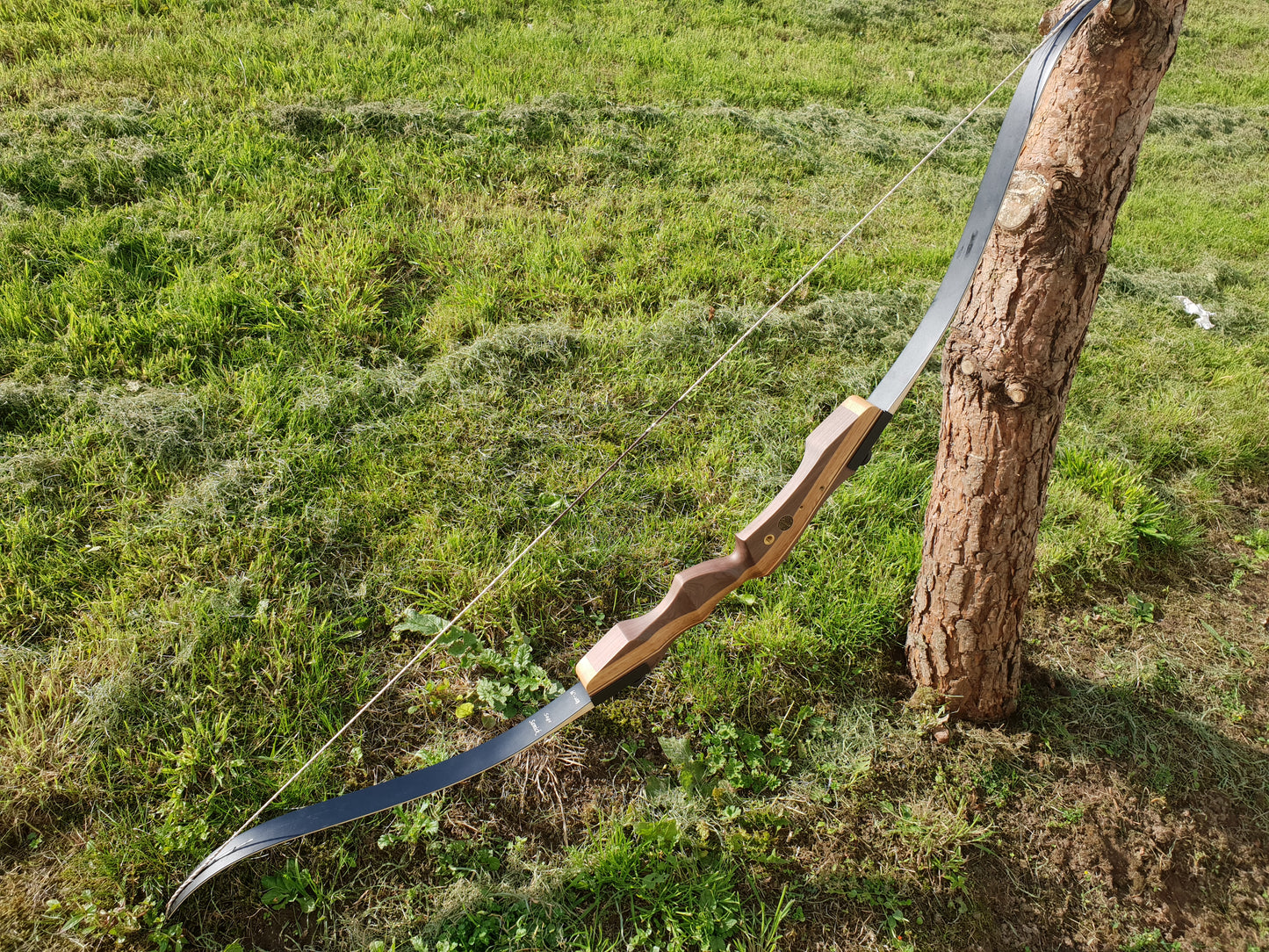 Samick Sage recurve takedown