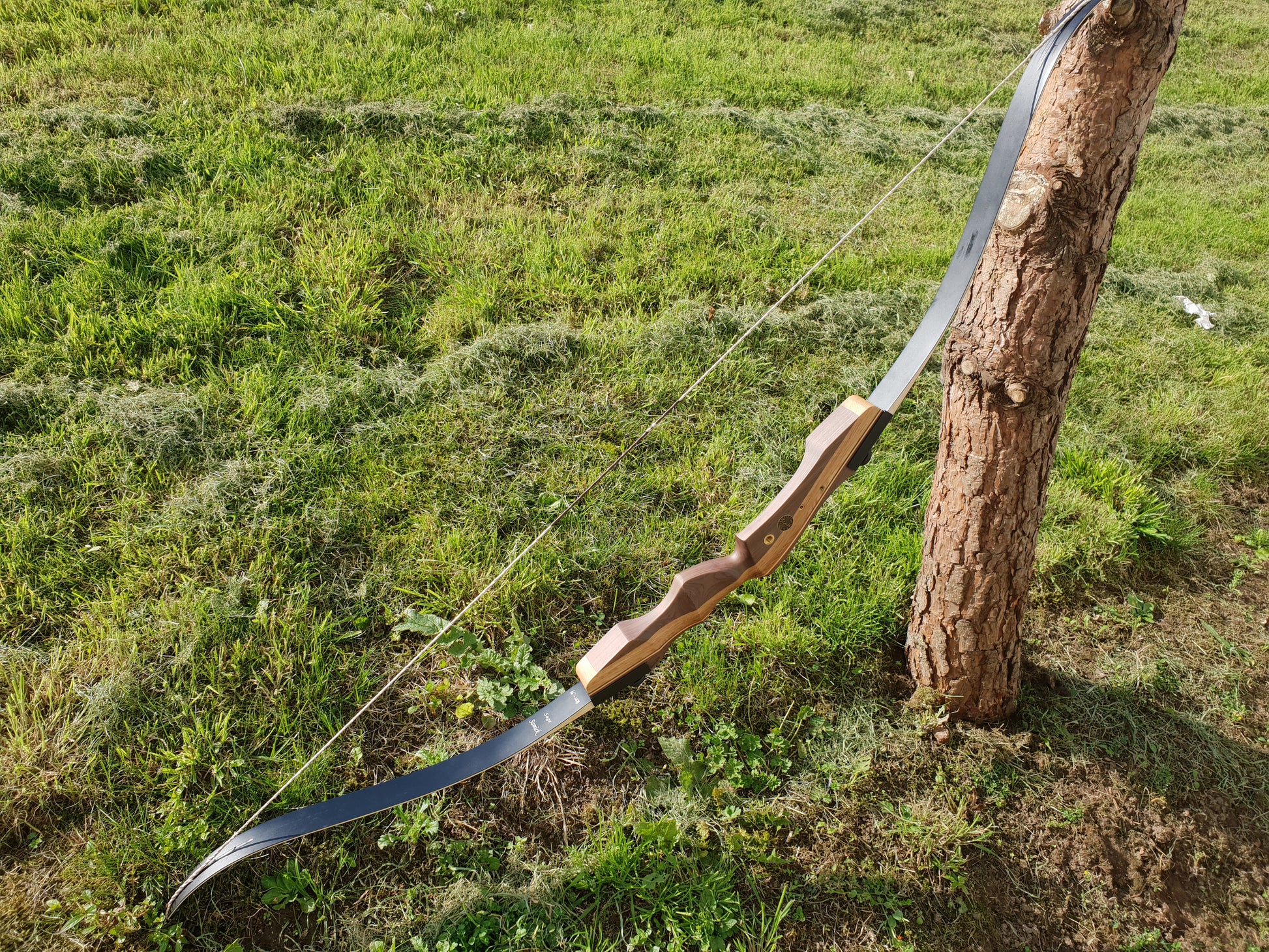 Samick Sage recurve takedown