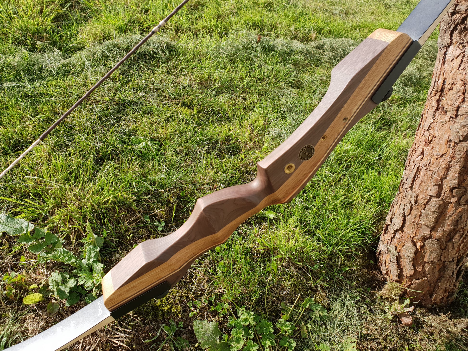 Samick Sage recurve takedown