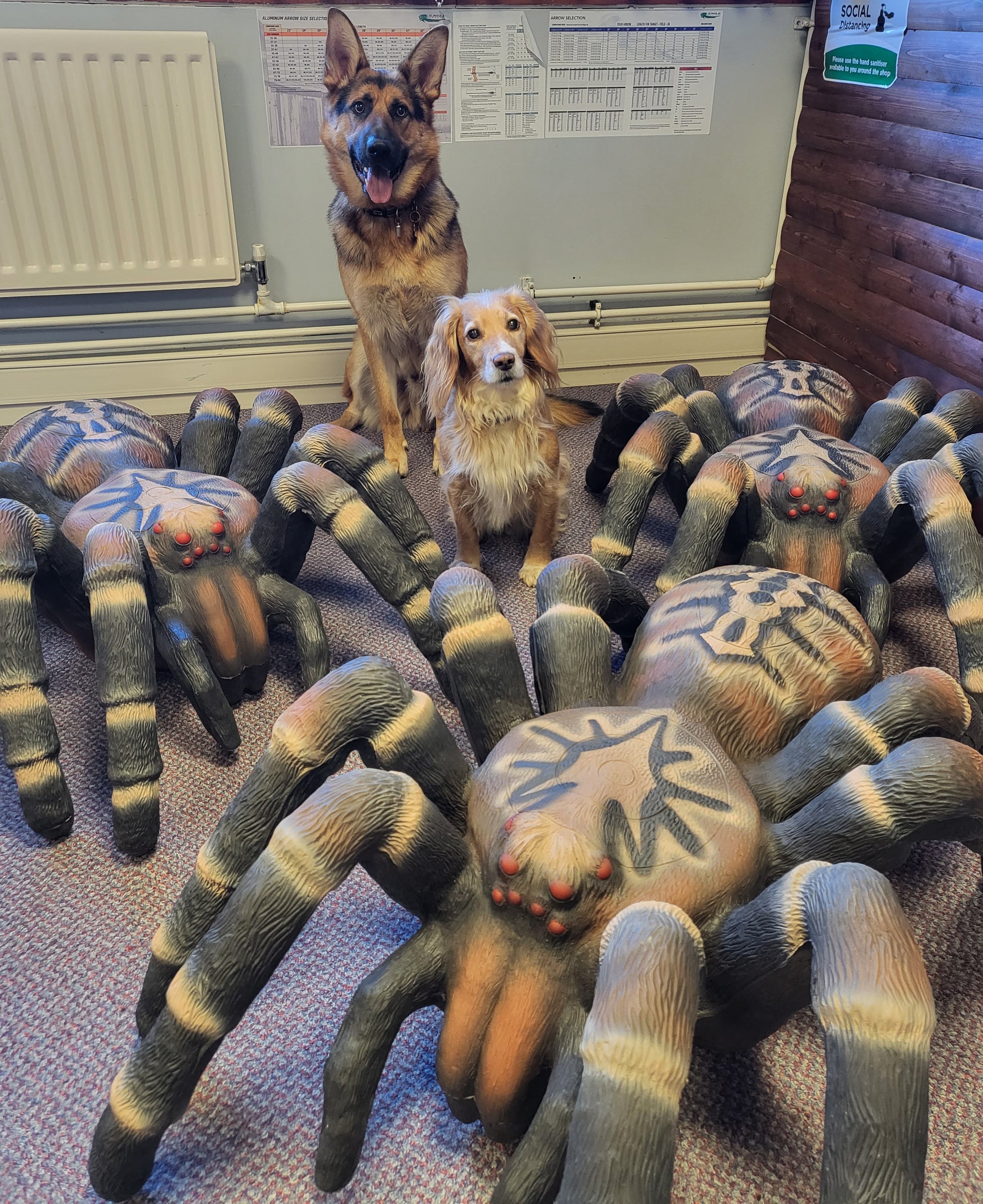 Sized Spider Giant Spider Dog Dog Halloween Costume Dog Spider