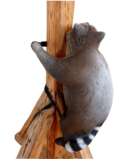 Climbing Racoon 3D Field Archery Target WITH STRAPS