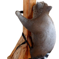 Climbing Racoon 3D Field Archery Target WITH STRAPS