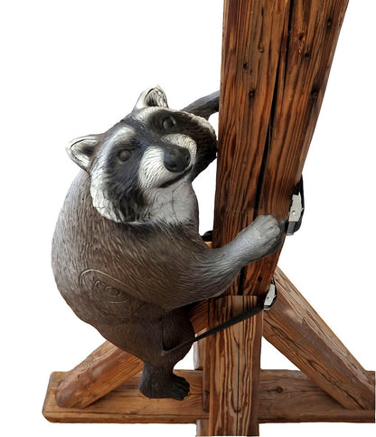 Climbing Racoon 3D Field Archery Target WITH STRAPS