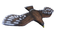 Gamut L.G. 3D field archery target flying golden Eagle 
